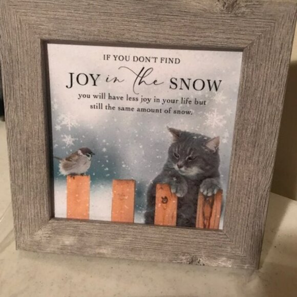 Kitten Framed Print - Joy in The Snow - Picture 2 of 3